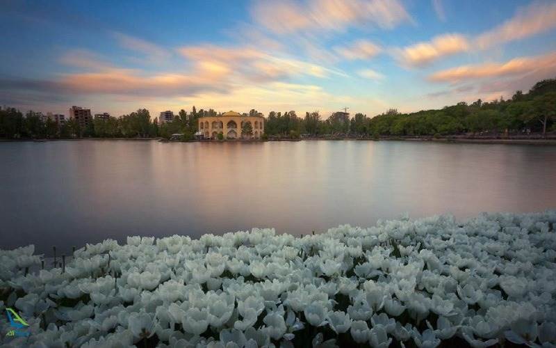 پارک ائل گلی