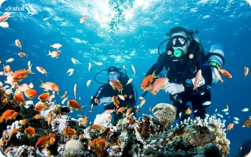 غواصی در کیش