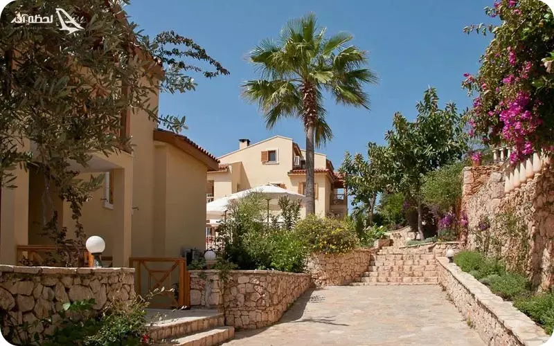 تفریات شبانه تایلند