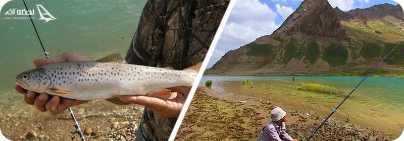 ماهیگیری در سد لار