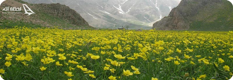 آفرود در پارک ملی لار