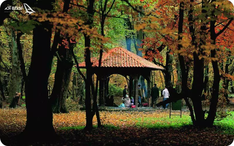 پارک جنگلی قرق