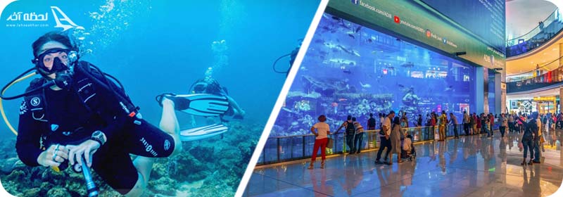 شرایط بازدید از آکواریوم دبی