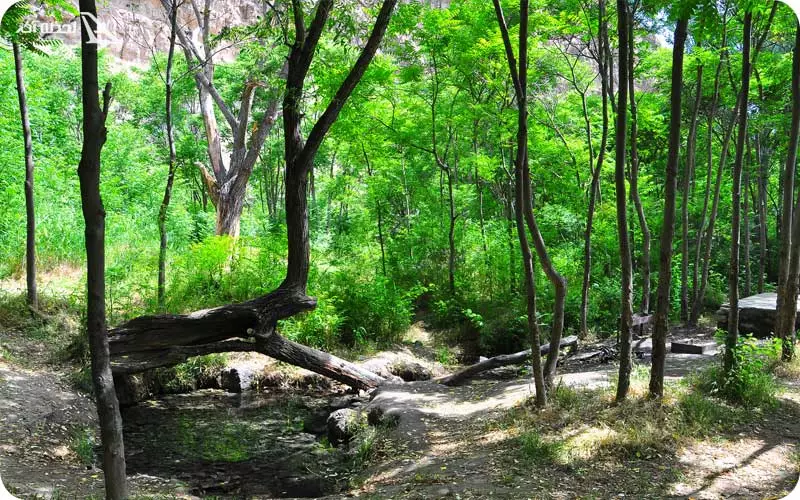 پارک ملی تندوره