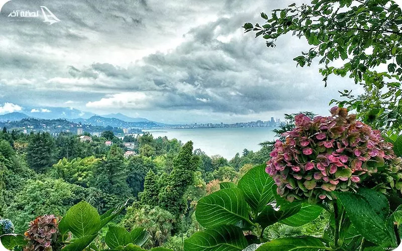 باغ گیاه شناسی باتومی