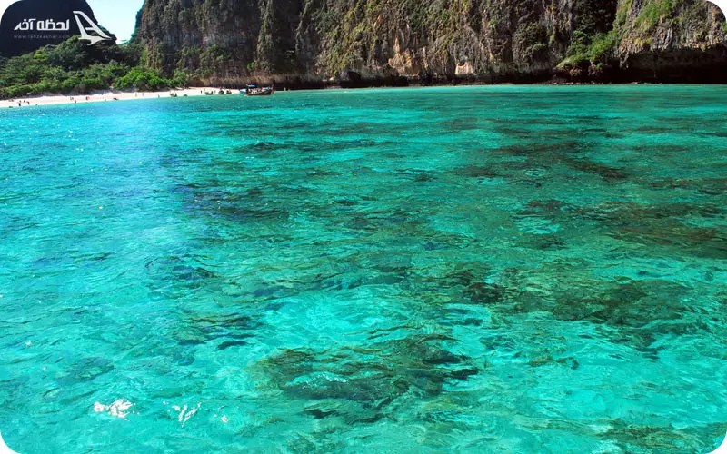 جزیره مرجانی پاتایا