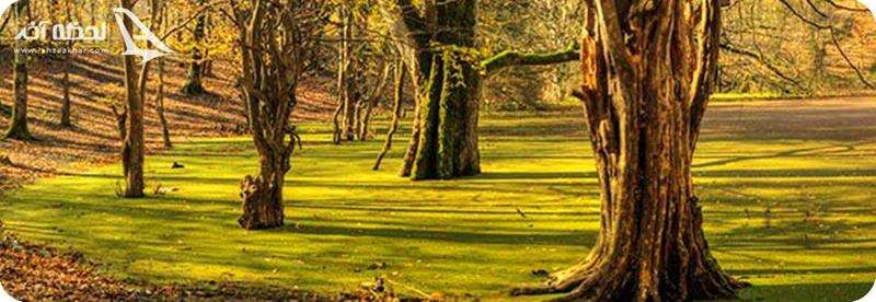 عکس مرداب دیوک