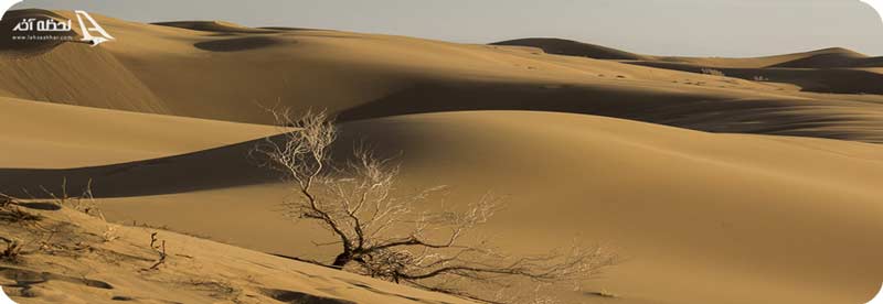 کویر رضا آباد