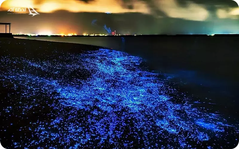 ساحل جزیره وادهو