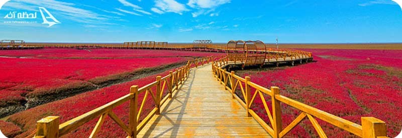 ساحل قرمز پانچین کجاست؟