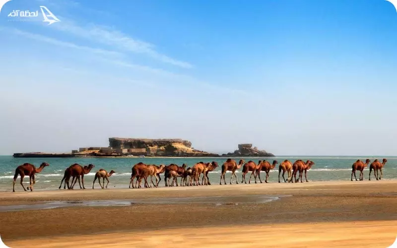 هواشناسی قشم