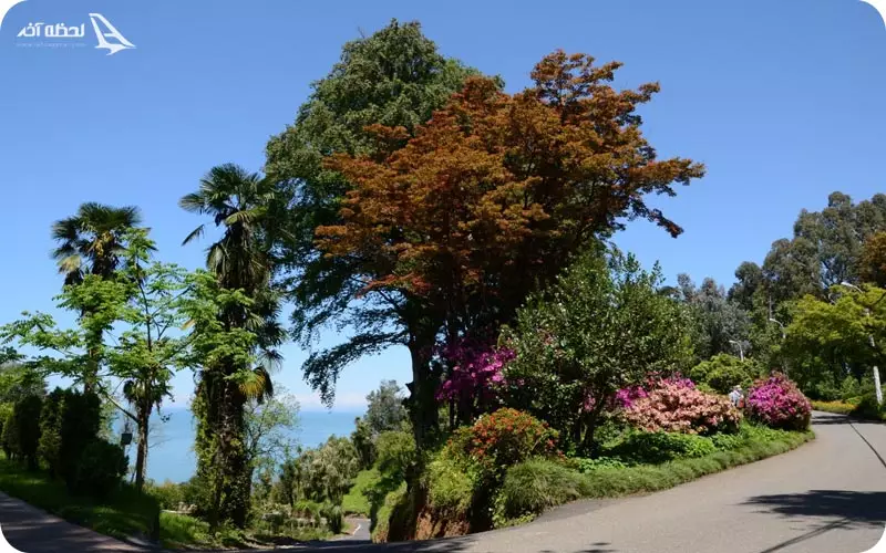 صفر تا صد باتومی