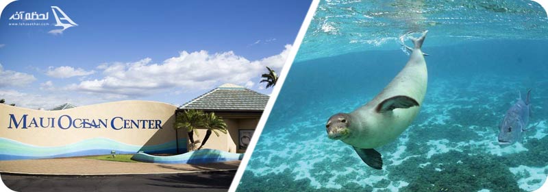 مرکز اقیانوسی مائوئی هاوایی