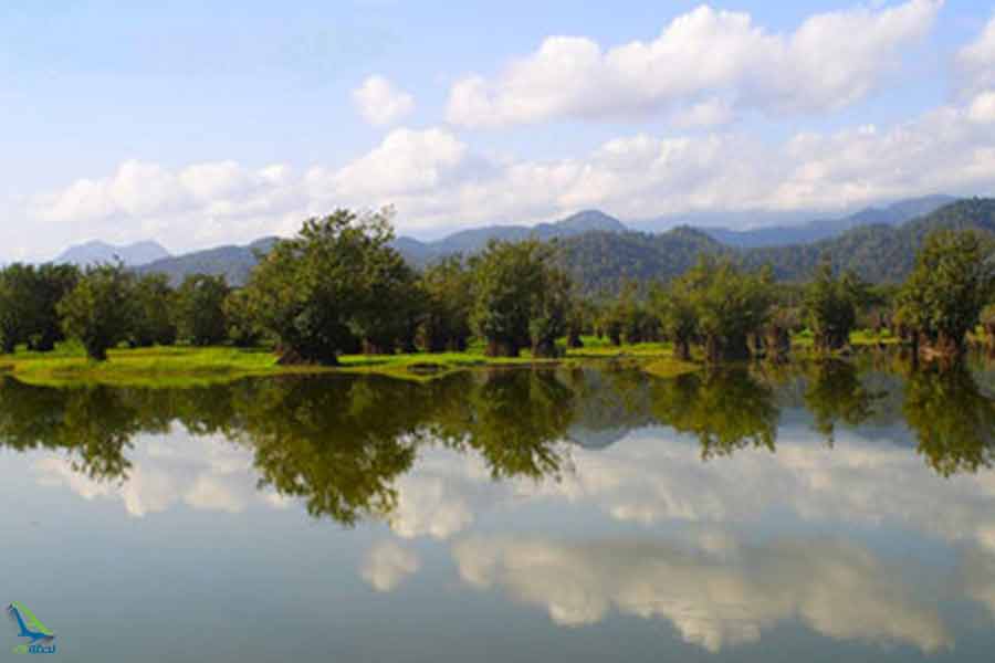 ماهیگیری در تالاب استیل 