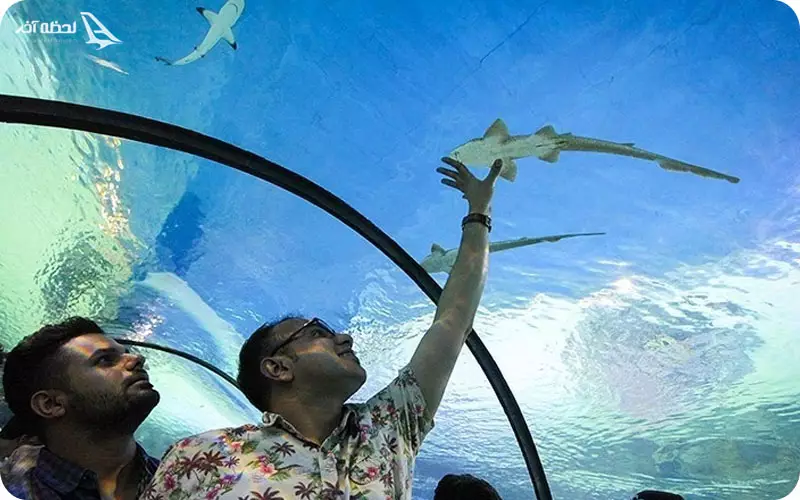 آکواریوم اصفهان