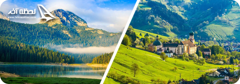 جنگلهای اروپا