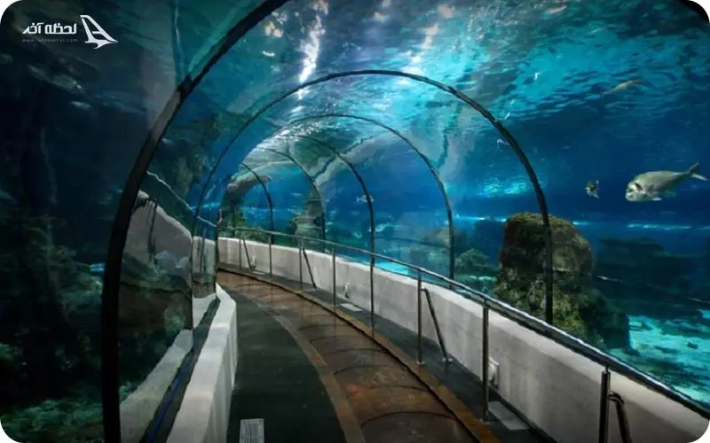 آکواریوم سی لایف استانبول