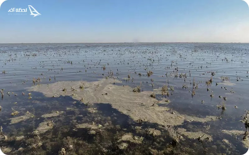 سوغات گمیشان