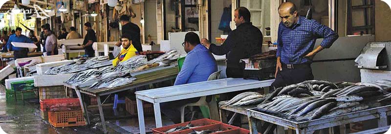 بازار ماهی فروشای گناوه