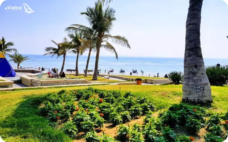 پارک زیتون قشم