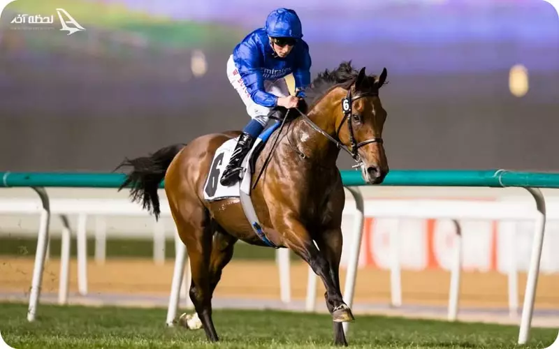 مسابقات اسب سواری