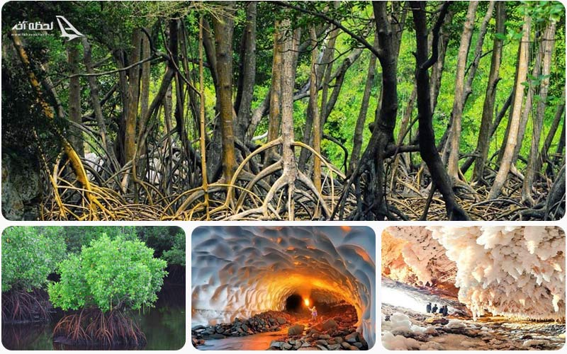 معرفی عجایب هفتگانه قشم