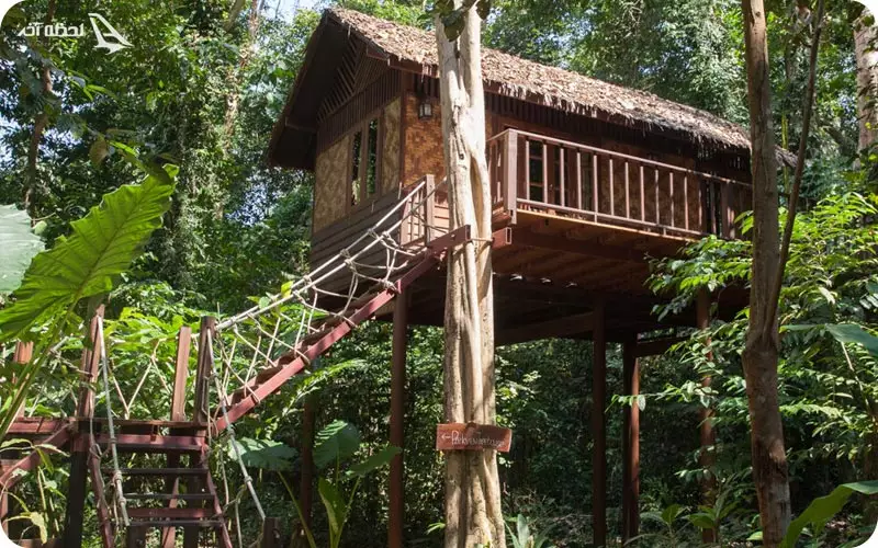 خانه جنگلی