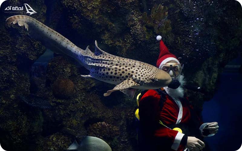 کلبه بابا نوئل در آکواریوم آنتالیا