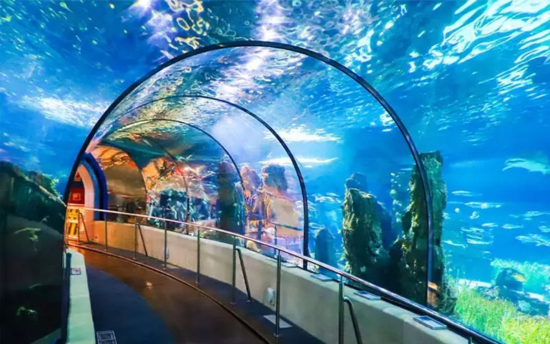 آکواریوم کیش