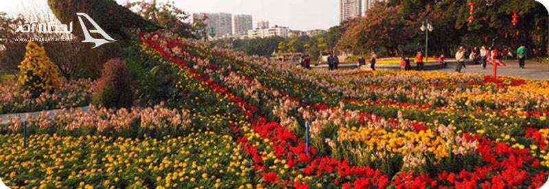 شهر گلها، گوانجو