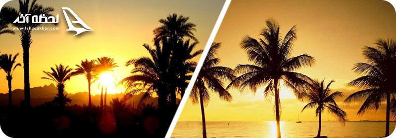 طلوع و غروب نخلستان های کیش