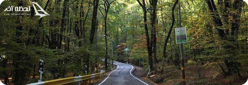 عکس جنگل توسکستان