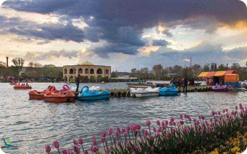 پارک ائل گلی