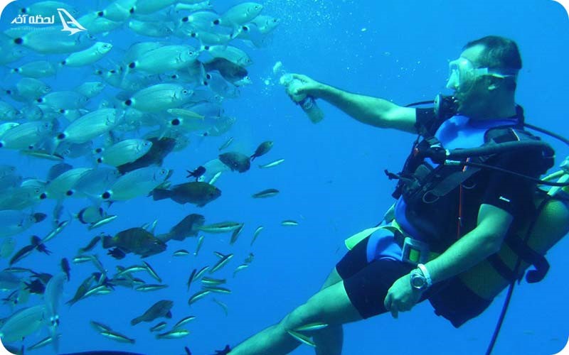 غواصی در آلانیا