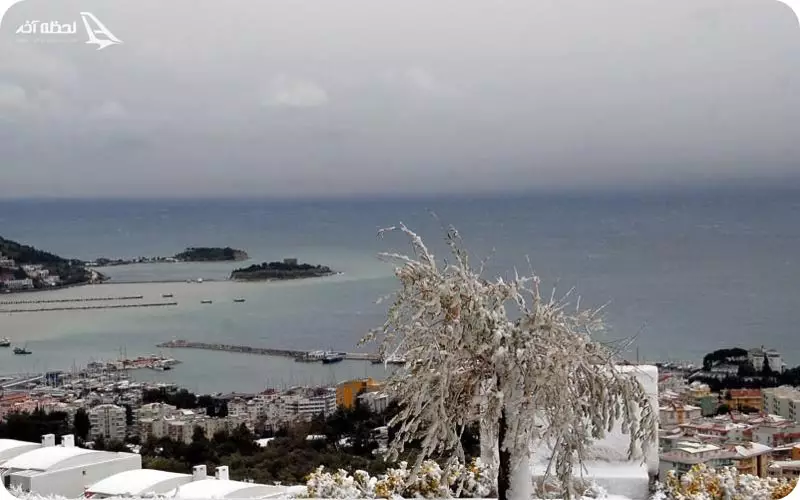 کوش آداسی در زمستان