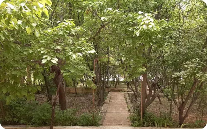 بلبل دره سمنان