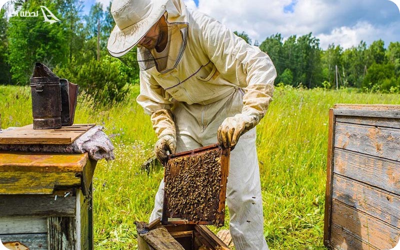 عسل خلخال به اسالم