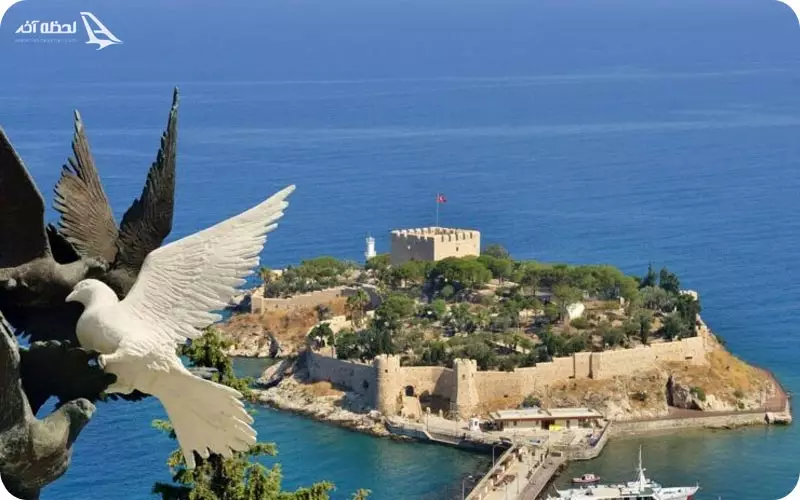 تور کوش آداسی 