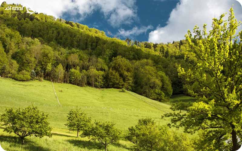 جنوران پارک ملی گلستان