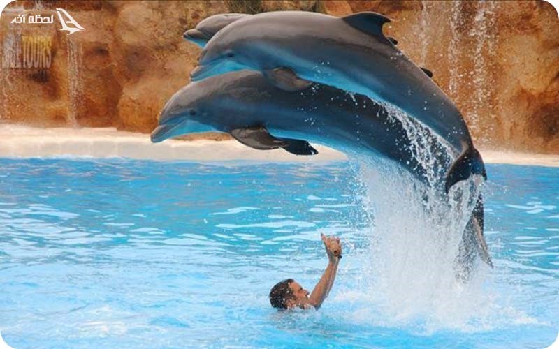 پارک دلفین سیلانیا در آلانیا ترکیه