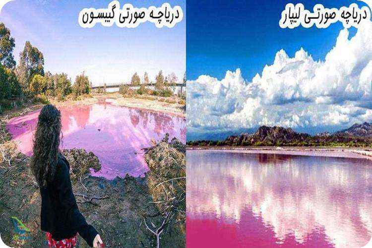 دریاچه صورتی لیپار در چابهار و دریاچه صورتی گیبسون در استرالیا