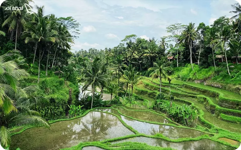 آب های بالی