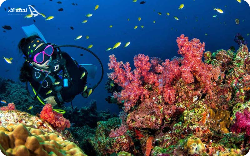 غواصی در ترکیه