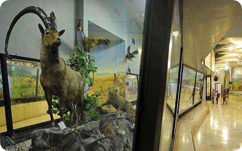 موزه تنوع زیستی تهران