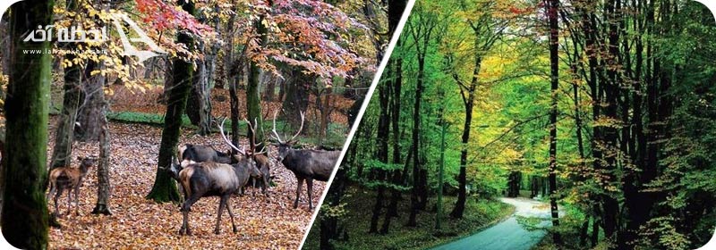 پارک ملی گلستان