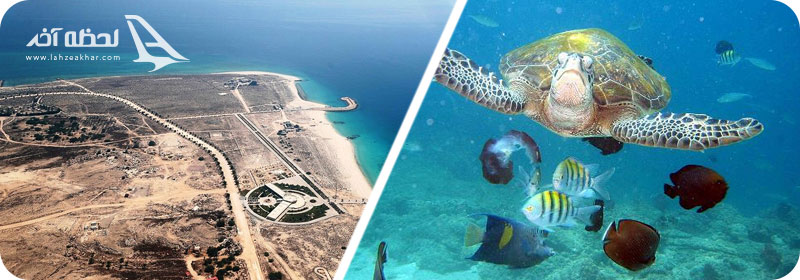 عکس های جزیره هندورابی