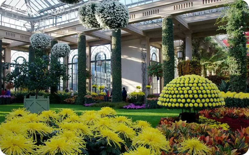 ایالت متحده