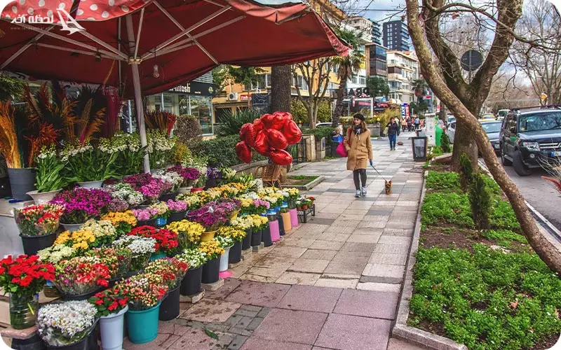 فروش گل در خیابان بغداد