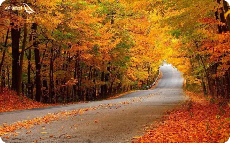 ناهارخوران گرگان