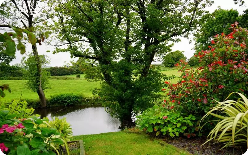 آب و هوای هند